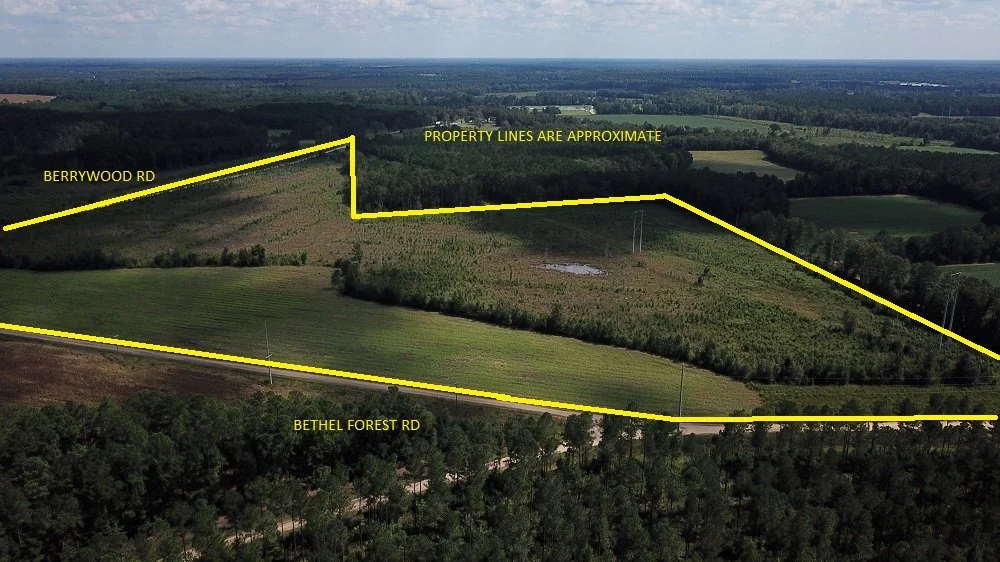 Bethel Forest Tract 2   46.51 Acres   $195,342   Orangeburg Co.  SOLD!!!!