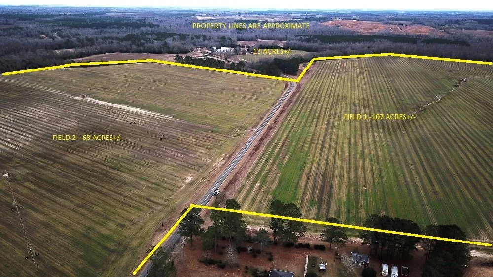 The Brown Farm (197 Acres)    Springfield, SC  $1,576,960 SOLD!!!!