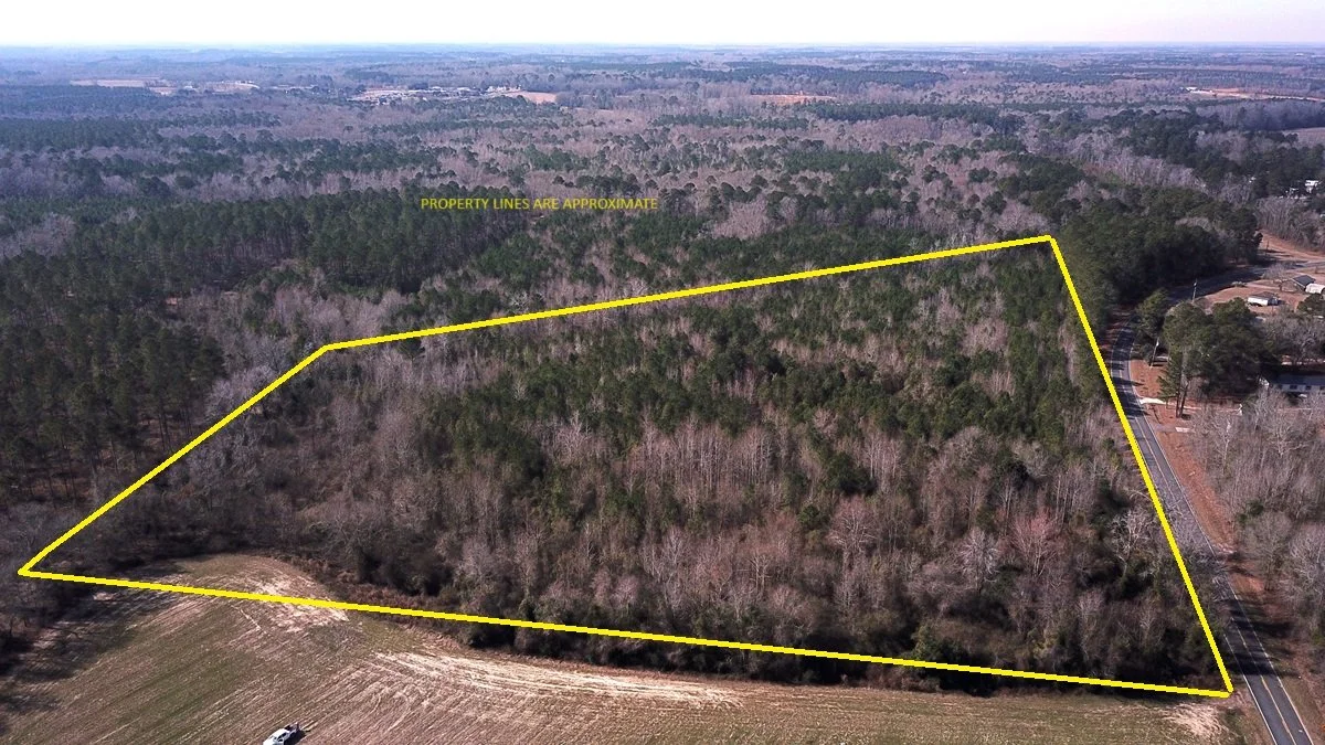 HUGHES TRACT    17 ACRES+/-    ORANGEBURG COUNTY  SOLD !!!!