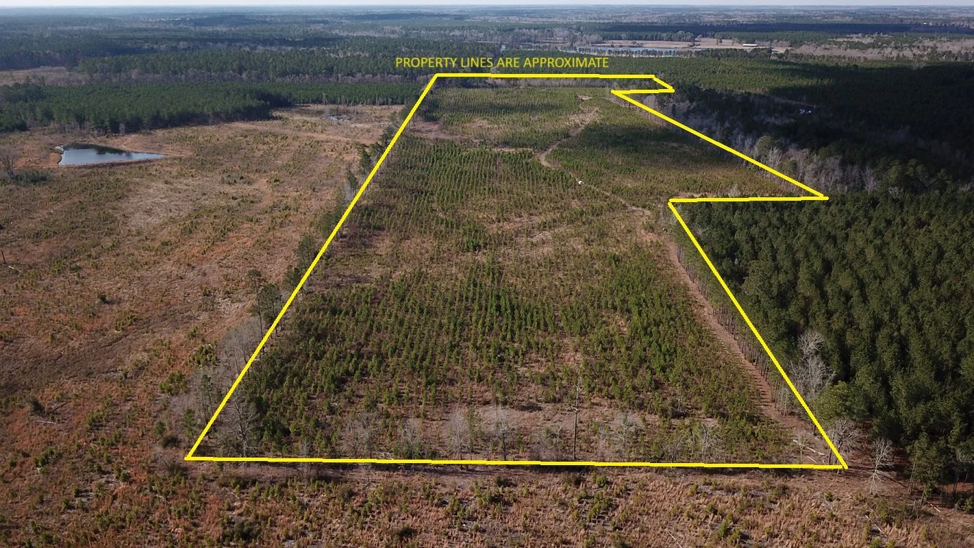 Farnum Rd Tract (51 Acres+/-)     Orangeburg,SC    $330,000   SOLD!!!