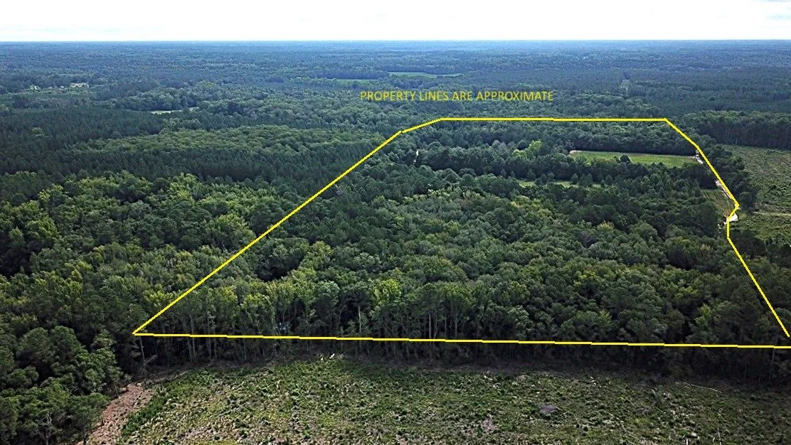 Calhoun Tract (72.5 Acres+/-)    Branchville, SC    $337,125  SOLD!!!!