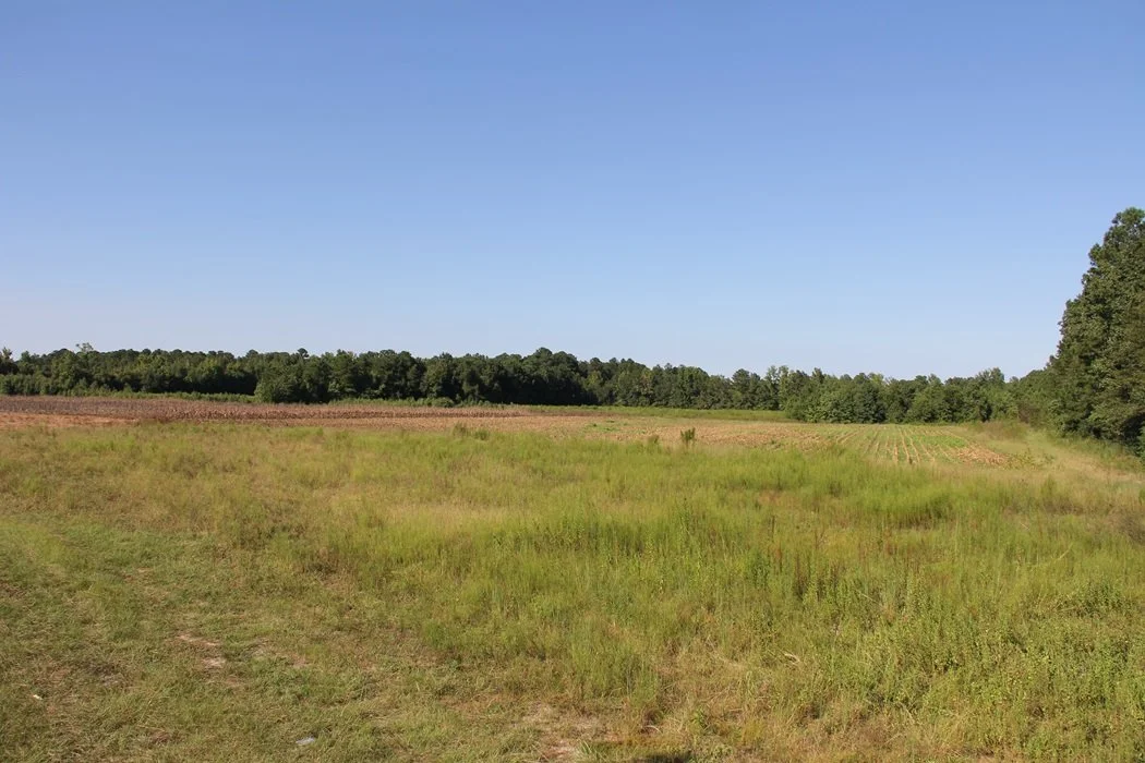 Stellar Tract          Orangeburg, SC          71.29 Acres    $599,000  PENDING!!!!