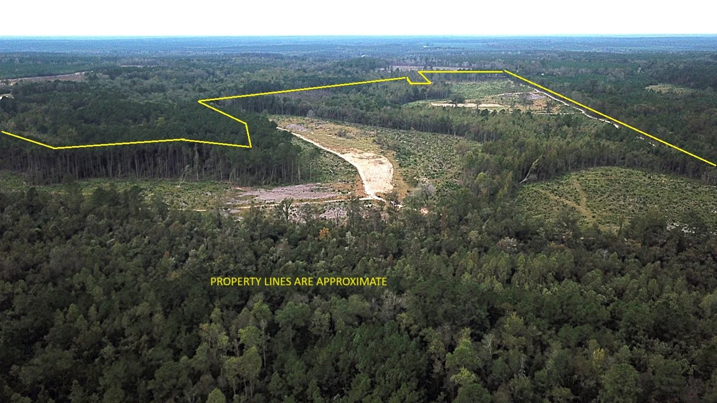 Fellowship Tract (187.08 Acres)  Barnwell County    $748,320.00  Available!!!