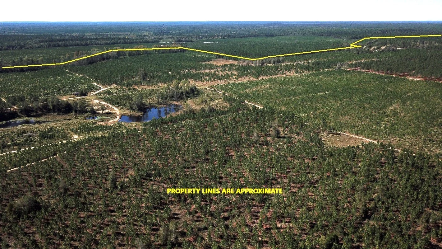Williston Tract One (420 Acres+/-)  Barnwell, SC  $1,974,000  SOLD!!!!