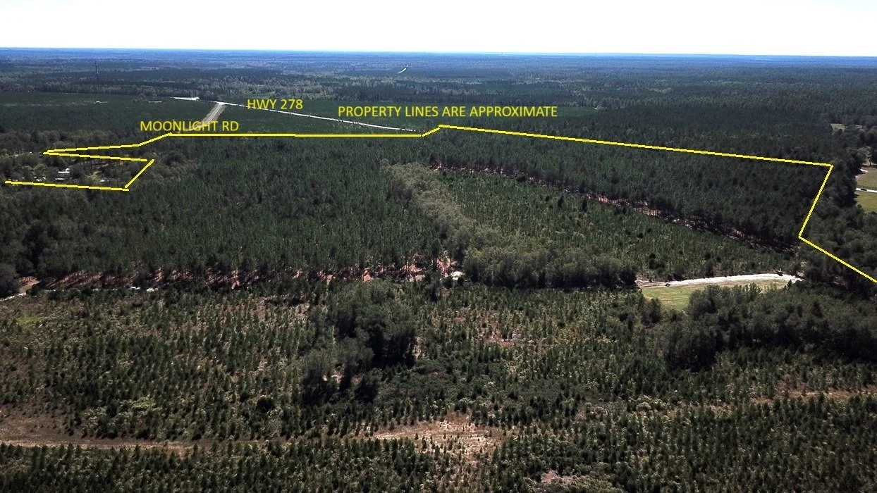 Williston Tract Two (252 acres+/-)  Barnwell County, SC    $1,184,400  SOLD!!!!