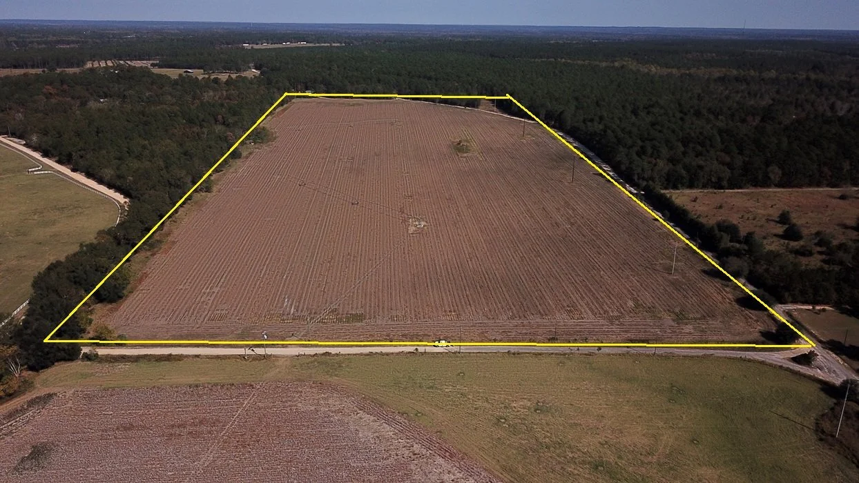 Deer Crossing Tract (50 Acres)  Orangeburg County, SC  $390,000 SOLD!!!!