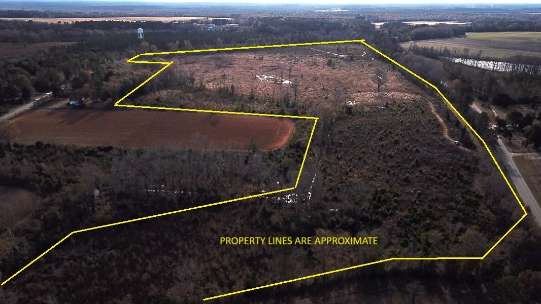 Blackville Tract (69.53 Acres)         Blackville, SC  $292,000   Available!!