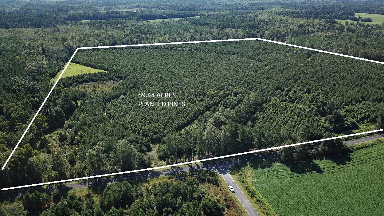 Smoaks Tract 1 (67.6 Acres)       Smoaks, SC     $371,800      SOLD !!!!