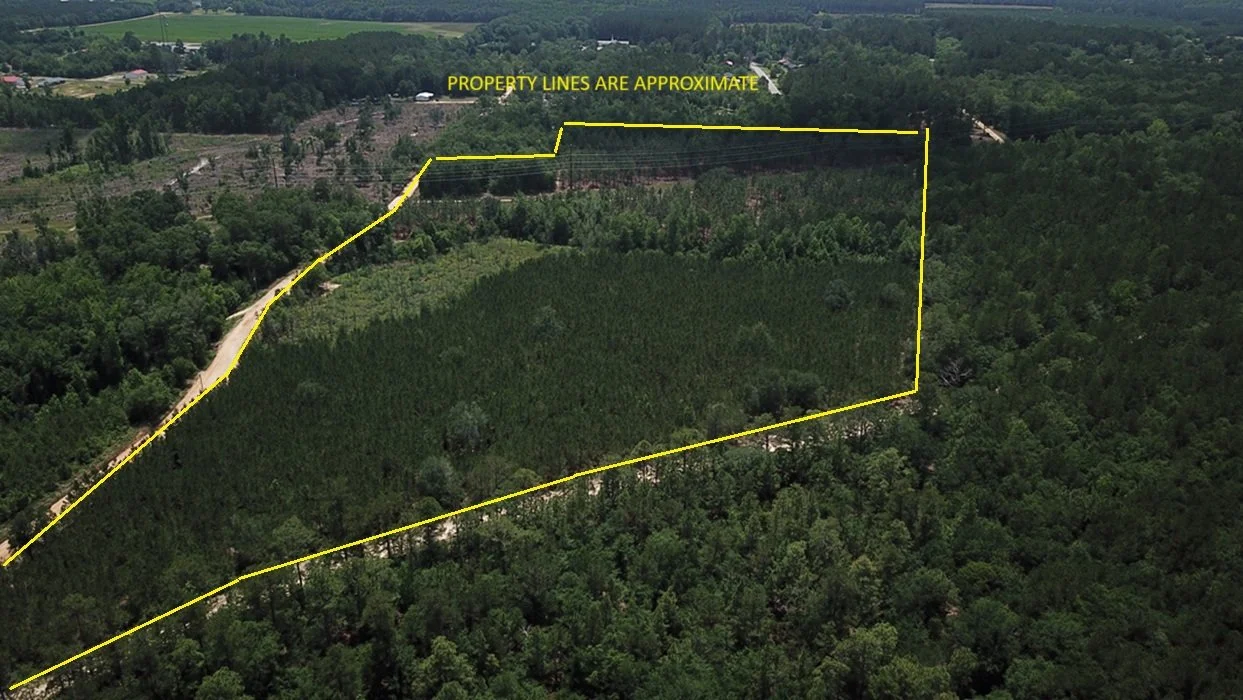 Rand Tract (25.03 acres+/-)     Orangeburg, SC   $175,200   Available!!!