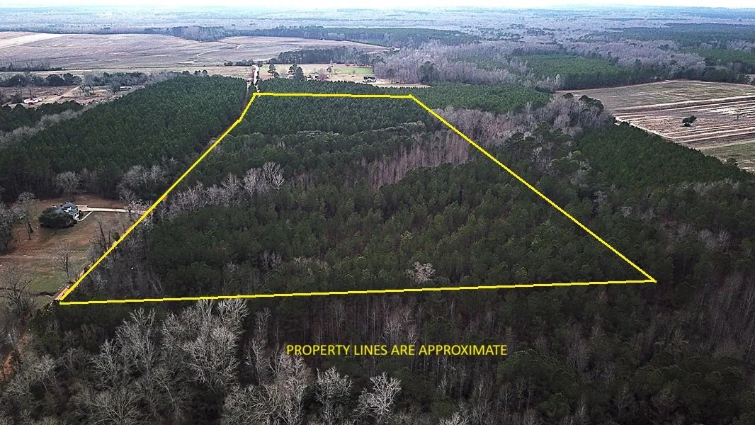 Raymond Rd Tract 1 (23.2 acs)   Orangeburg, SC   $174,150   AVAILABLE!!!