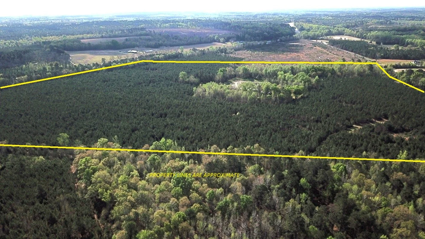 The Ponderosa Tract - 93 Acs  St. Matthews, SC  $695,000  AVAILABLE!!!