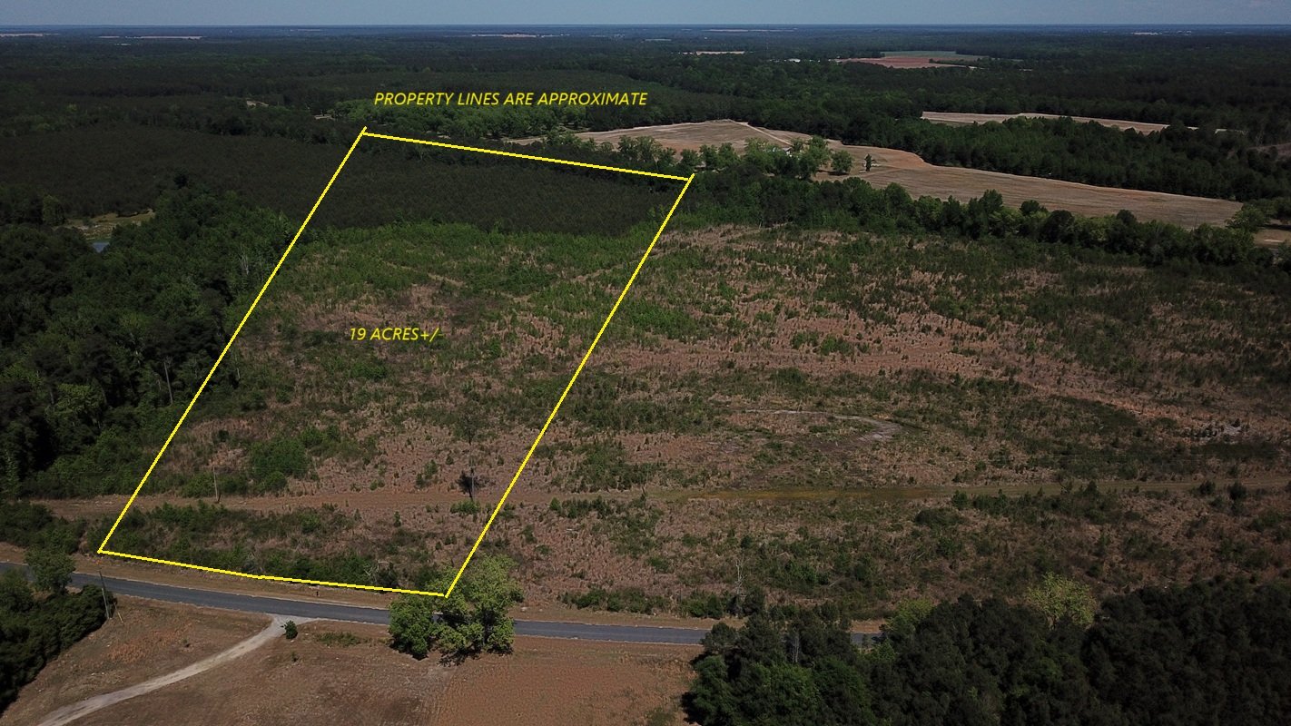 Ponderosa 19 Tract  (19 Acs)   St. Matthews, SC  $171,000        AVAILABLE!!!