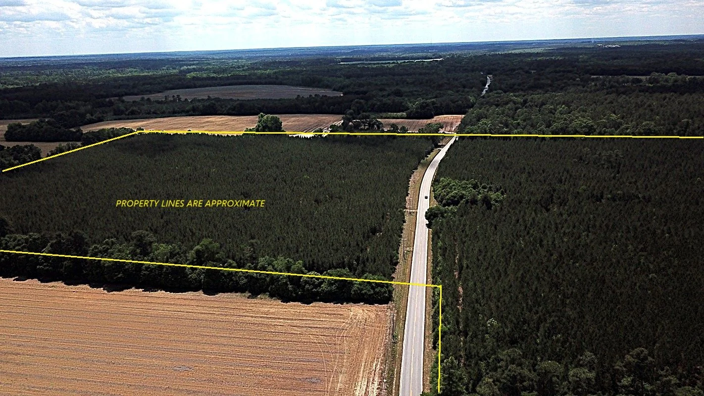 DJI_0027.JPG