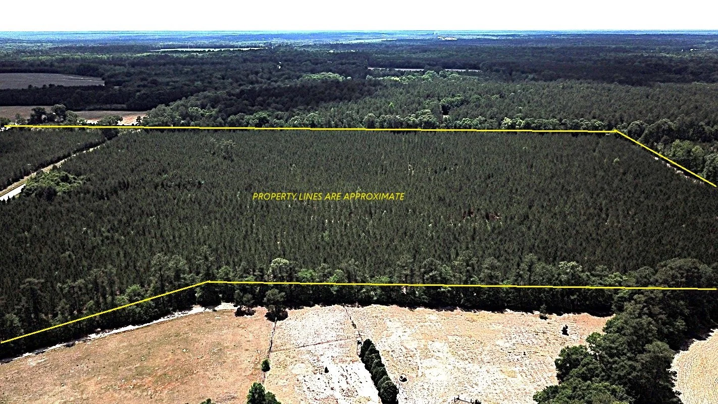 DJI_0031.JPG