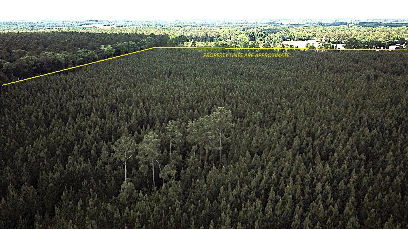 DJI_0032.JPG
