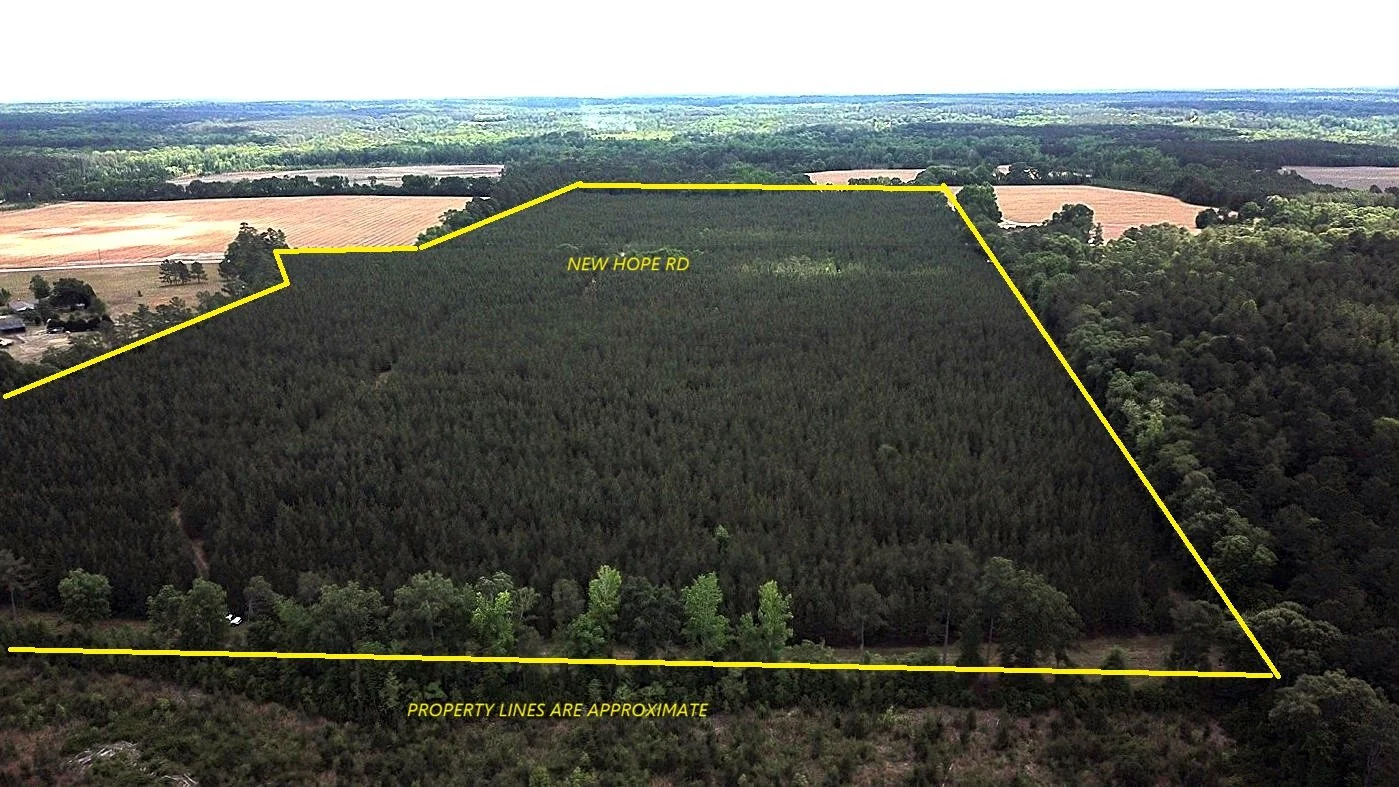 The New Hope Rd Tract (85 Acs)  St. Matthews, SC  $756,500  AVAILABLE!!!