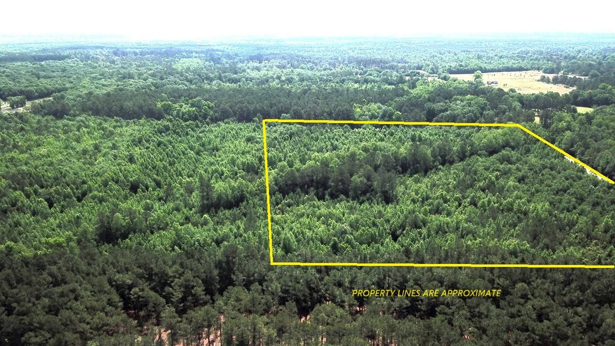 DJI_0011.JPG