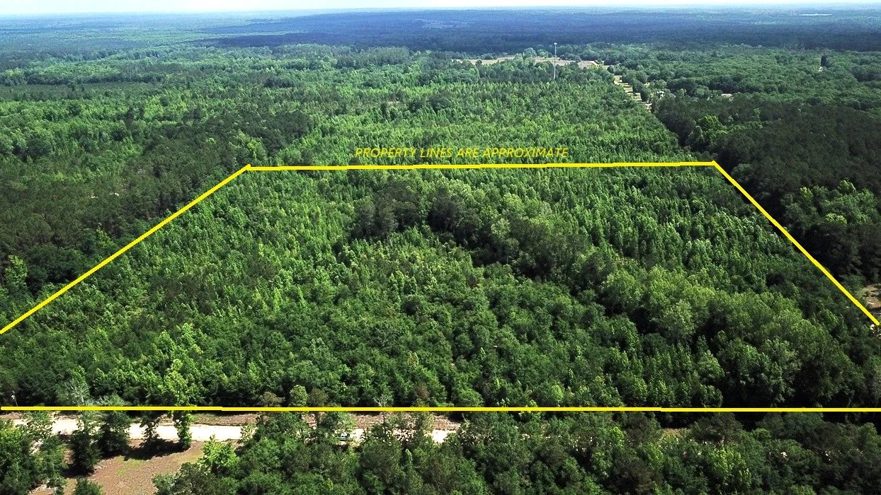 The Cody Tract (25 Acres)      Neeses, SC   $98,500  AVAILABLE!!!!