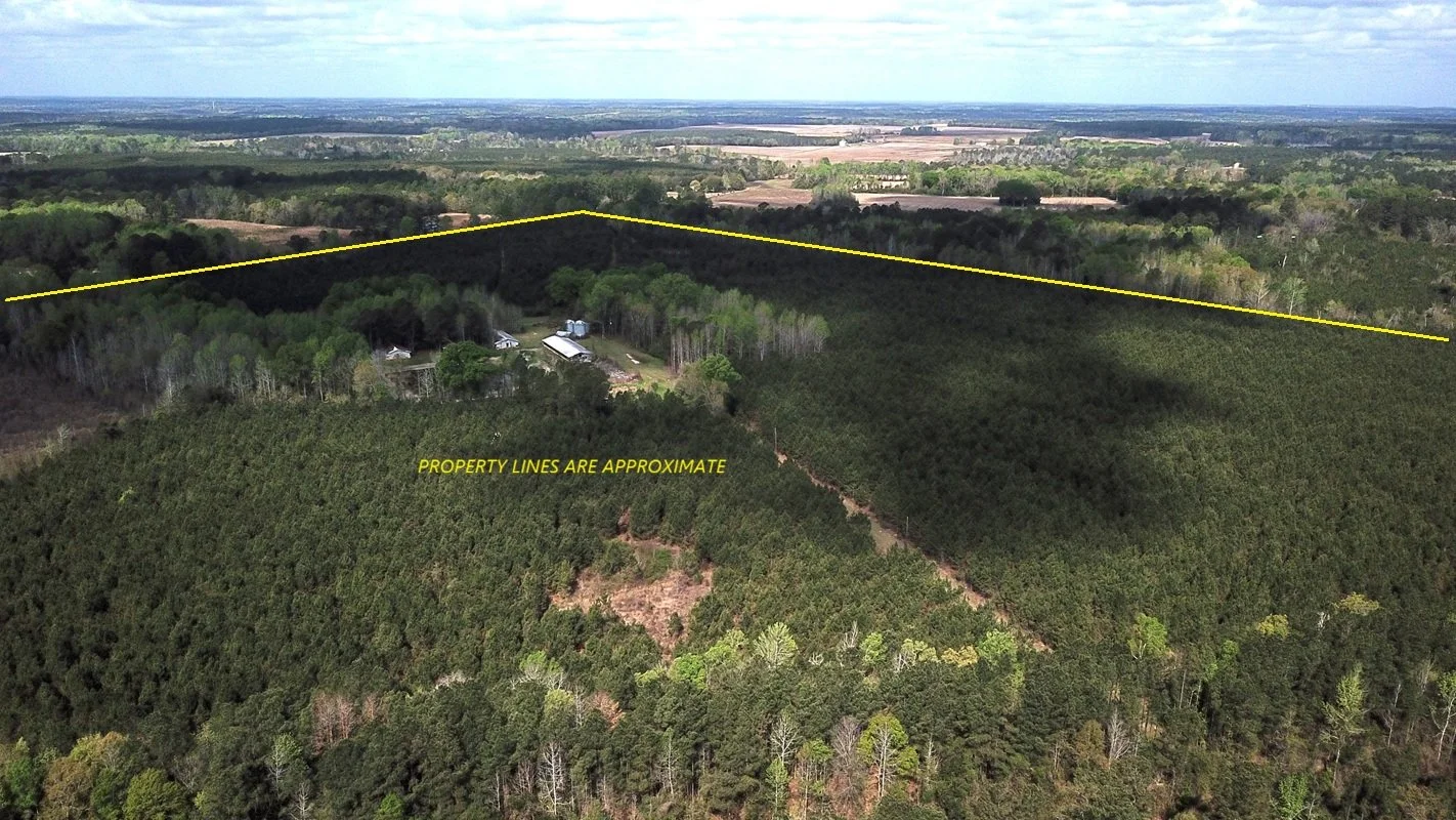 DJI_0061.JPG