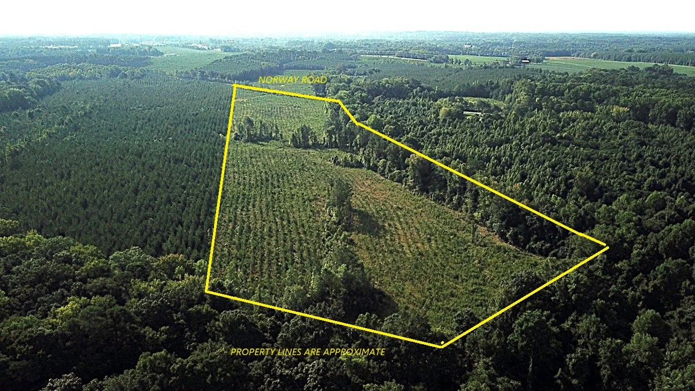 DJI_0022.JPG