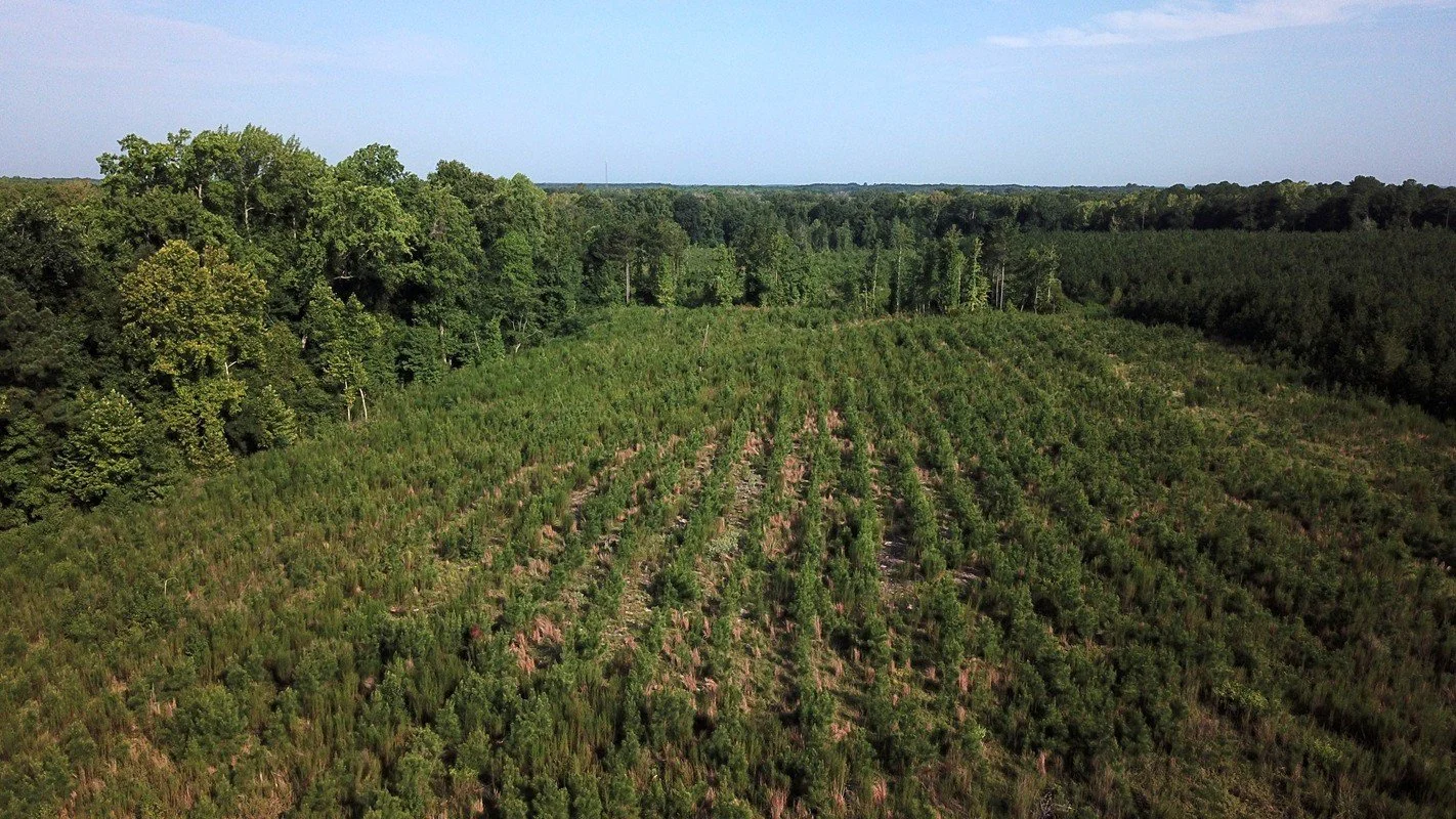 DJI_0002.JPG