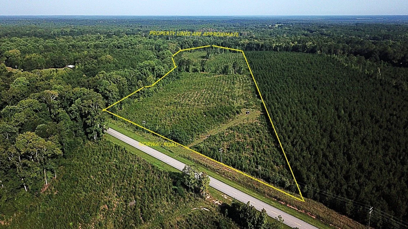 The Norway Rd Tract (29.72 acs)  Orangeburg, SC  $225,000 AVAILABLE!!!