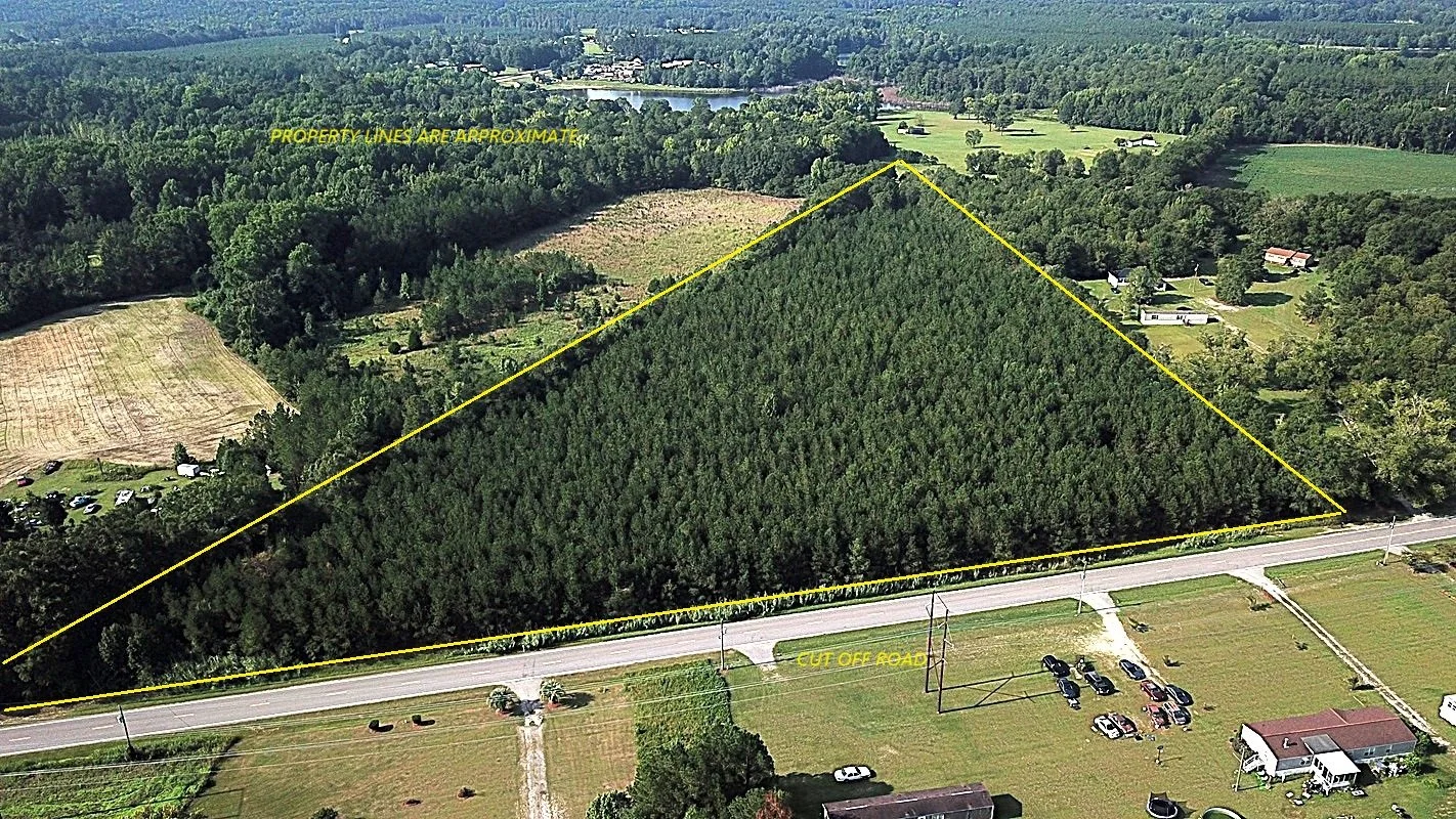 The Cut Off Road Tract (12.73 acs)  Orangeburg, SC  $108,205   AVAILABLE!!!!