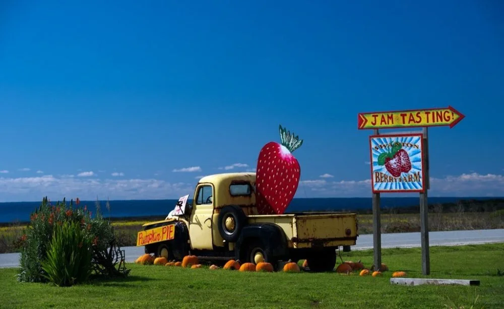 Swanton Berry Farm 
