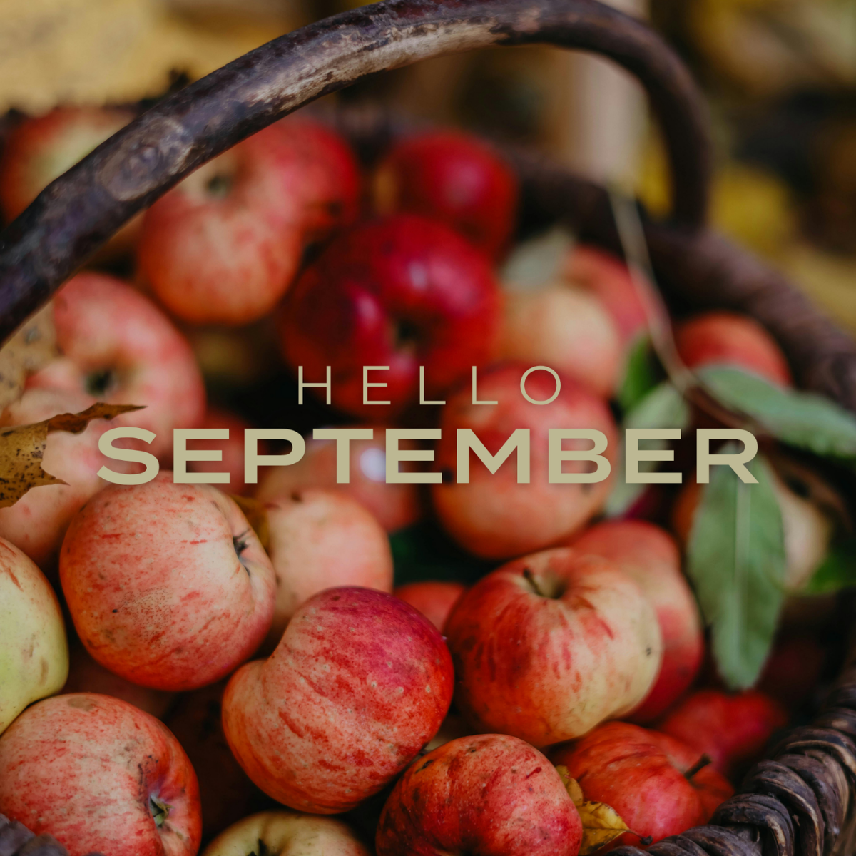 Hello September