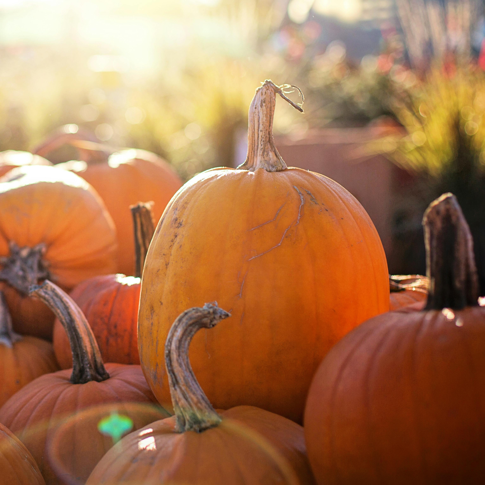 Hello October