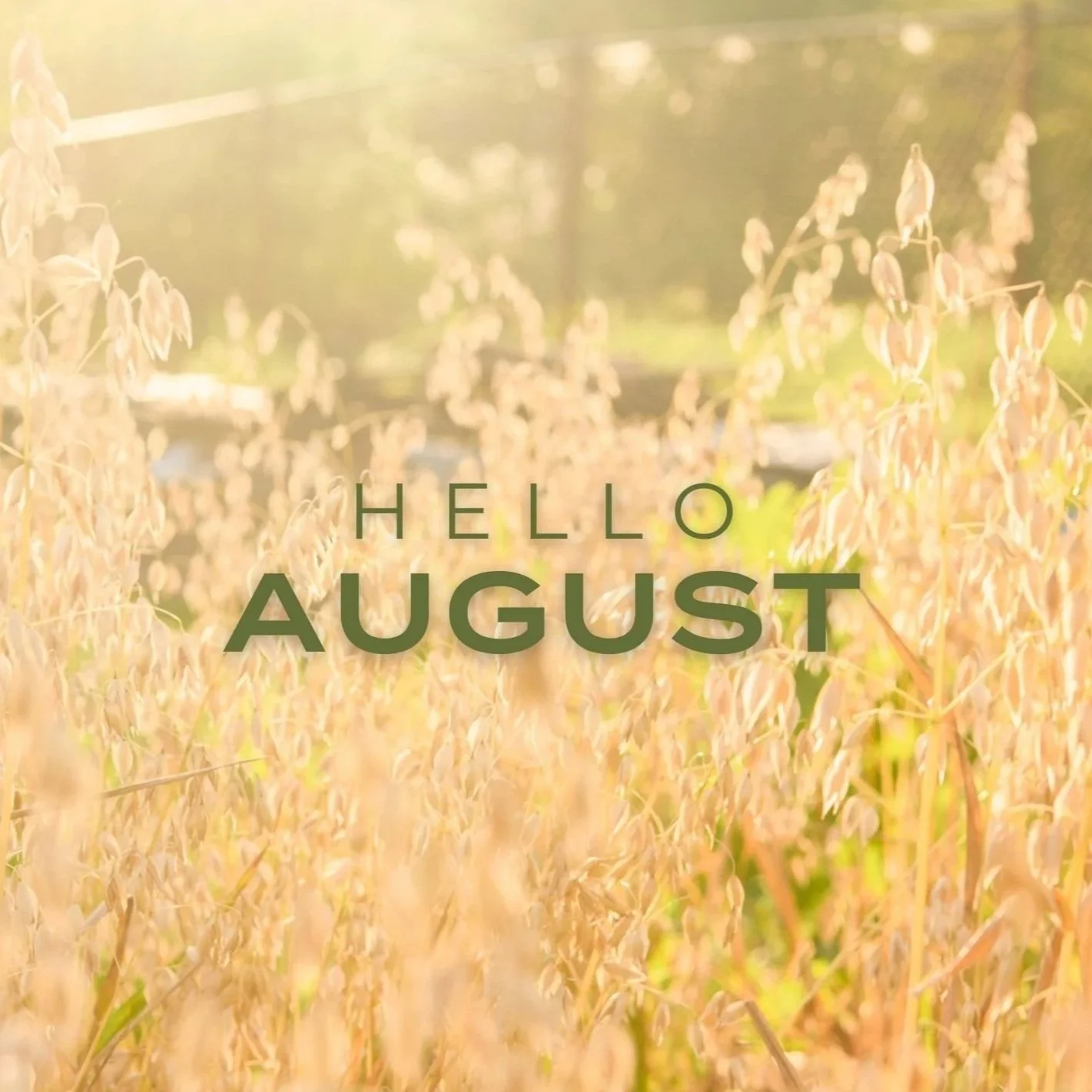 Hello August