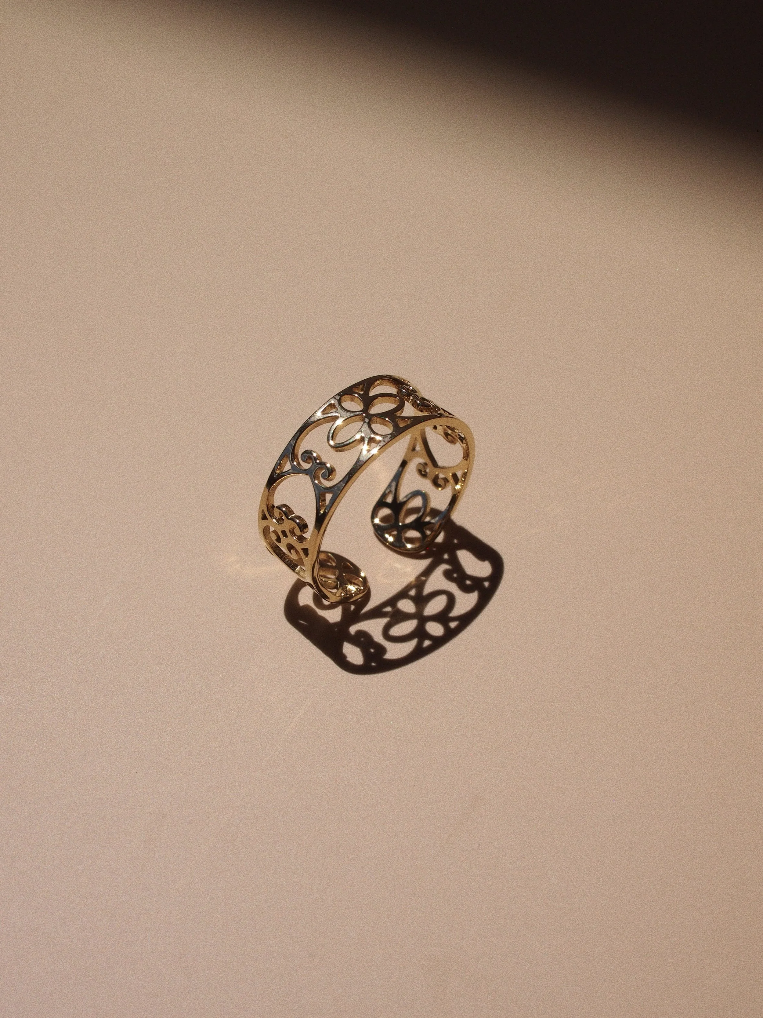 TOE_RING_ROBLE05.JPG