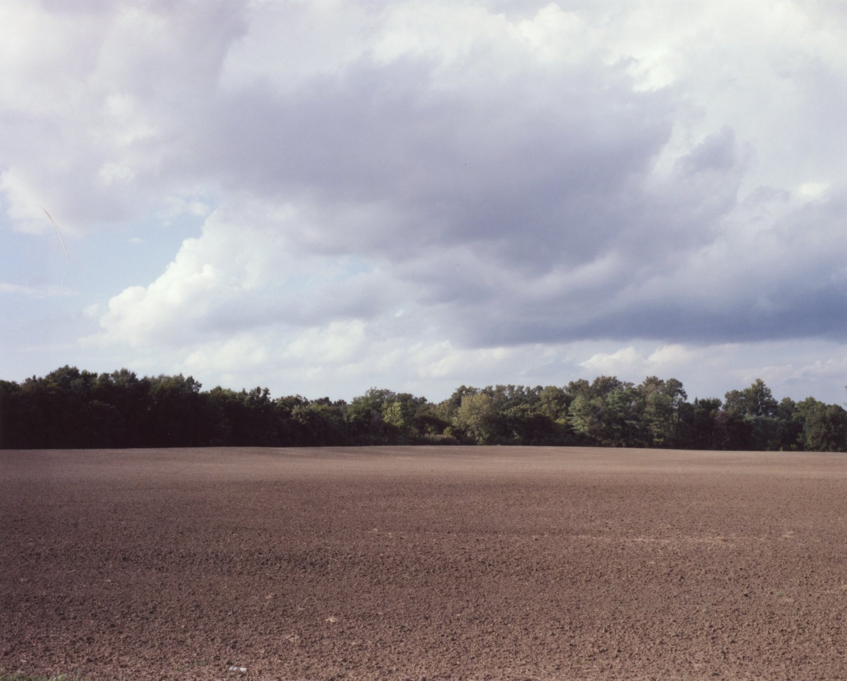 tilled field001.jpg