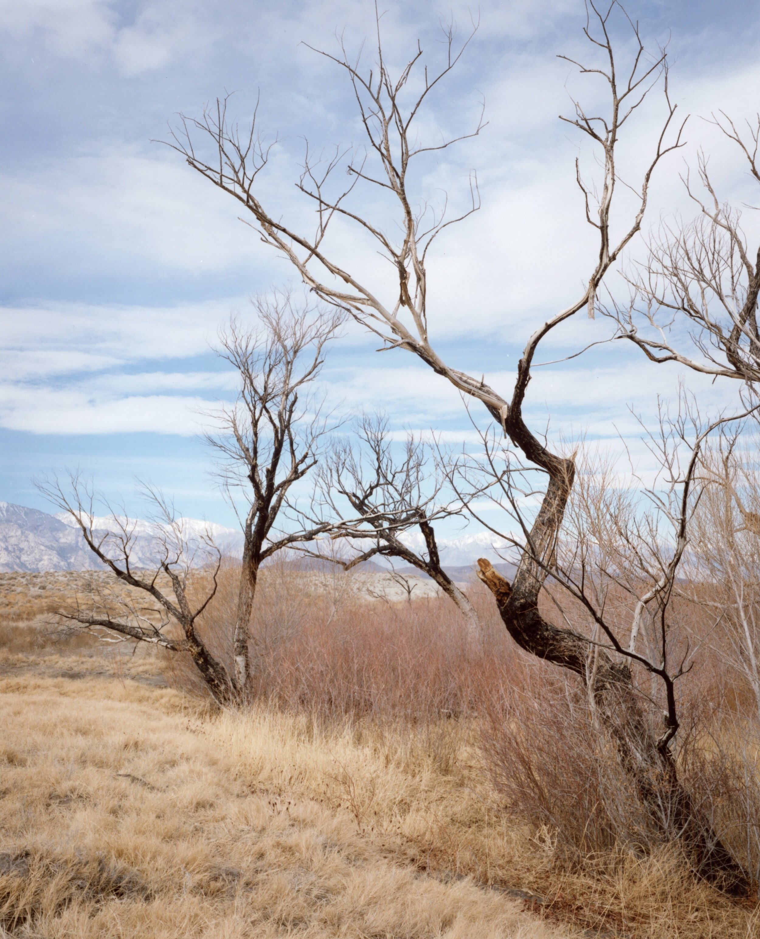 owens valley01.jpg