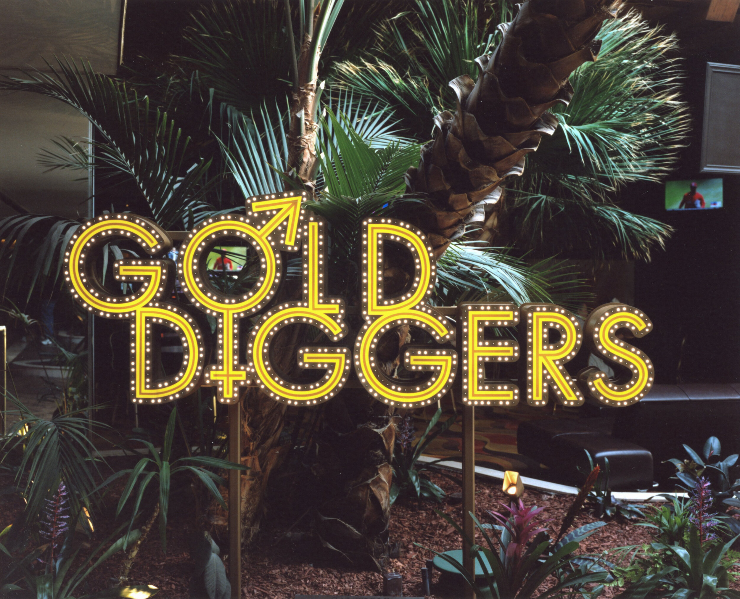 gold diggers-2.jpg