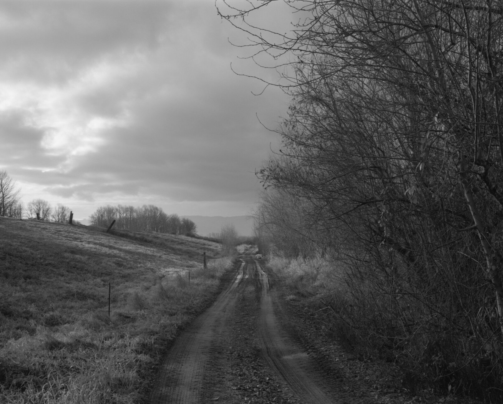 Sauvie dirt road 2-4.jpg