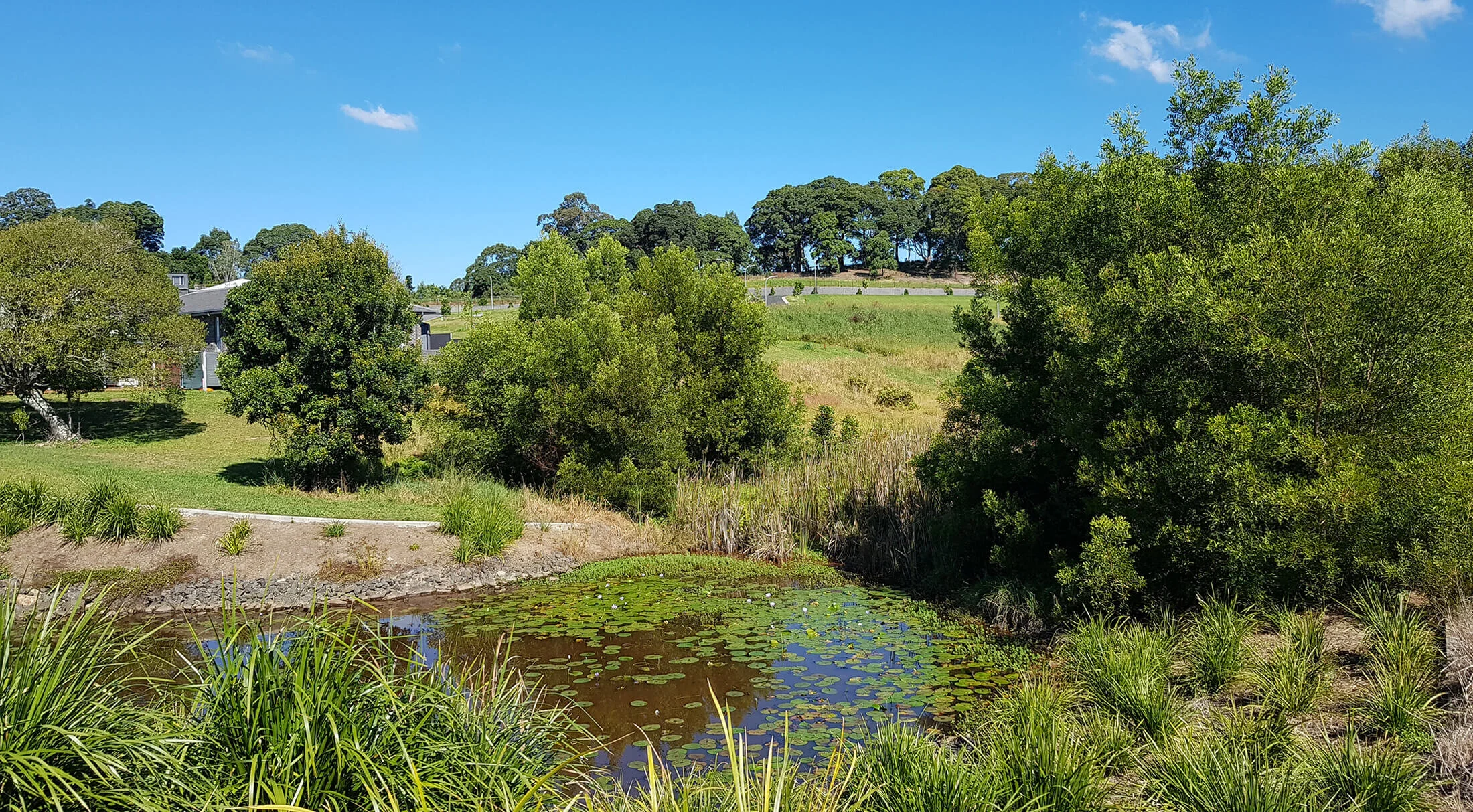 Rehabilitated creek reserve