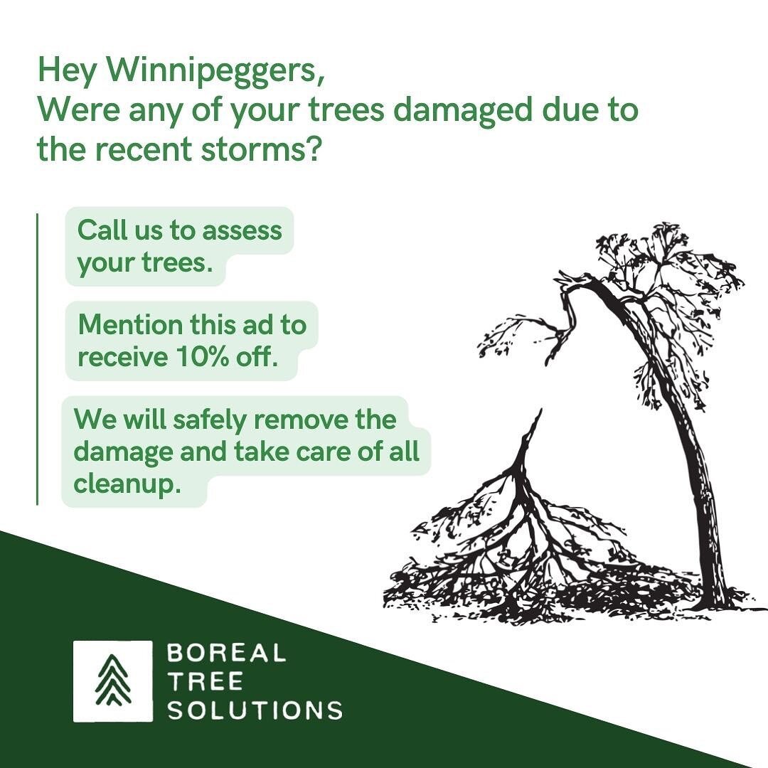 ⚡️ Storm Damage? ⚡️

With all the recent storms passing through, we&rsquo;ve decided to offer a 10% discount on all storm damage work!
-
Give us a call if you need your trees taken care of safely &amp; efficiently at a discounted rate.