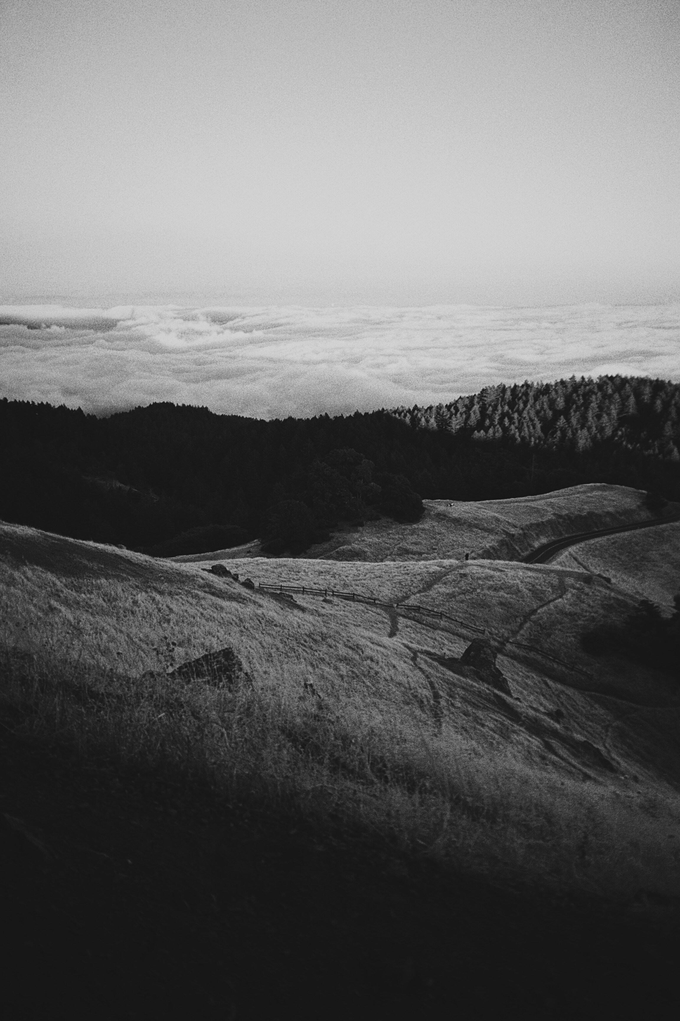 1581_0027.jpg