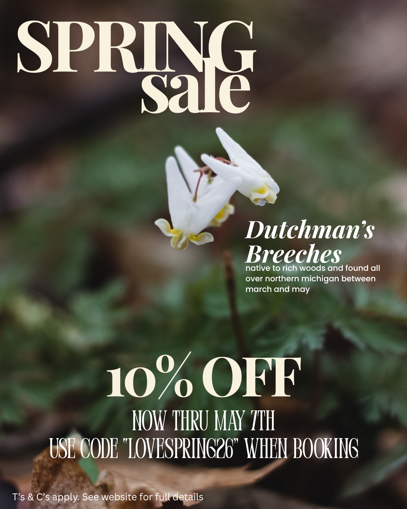 Spring Sale + Announcements from the shoreline