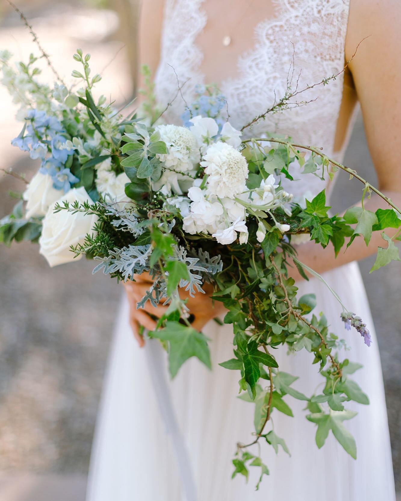 Haley asked if we could use fresh herbs in her bouquet and the answer to that question will always be ✨yes✨
.
When i tell you the mix of rosemary and lavender was dreamy, mixed with all the other lovely bouquet fragrances it&rsquo;s was truly yummy. 