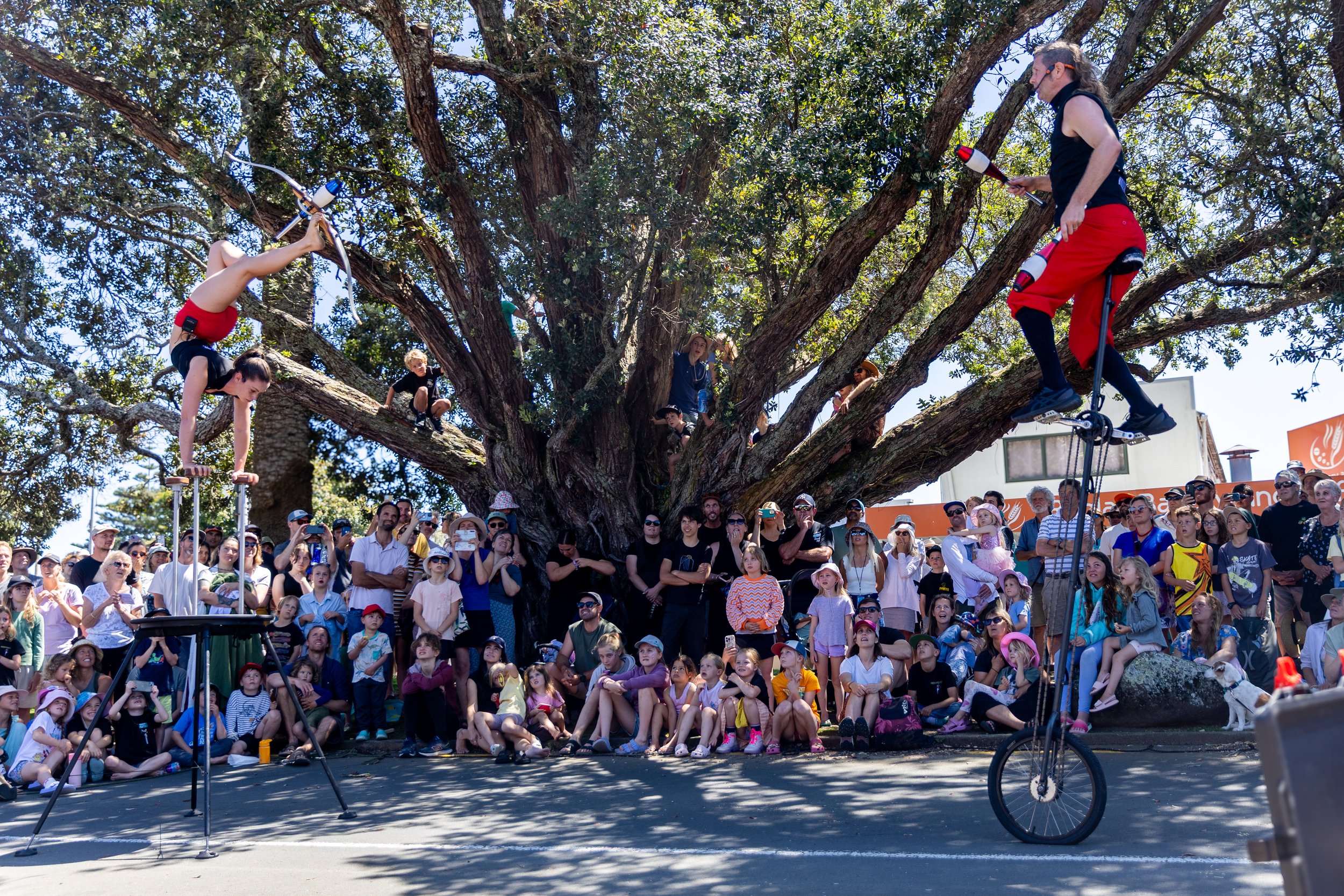LOOKING BACK FREEDOM2FLY FEST 2025: