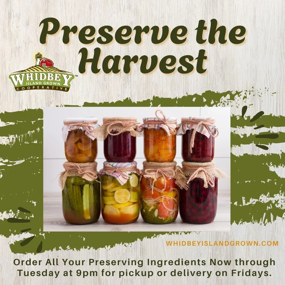 With such a bounty of local veggies and fruit on the Food Hub, it's a great time to stock up and preserve.
.
Pickle fresh slicing cucumbers, whip up a fragrant basil pesto, cook up tomato sauce, plum jam, or applesauce, parboil and freeze extra green