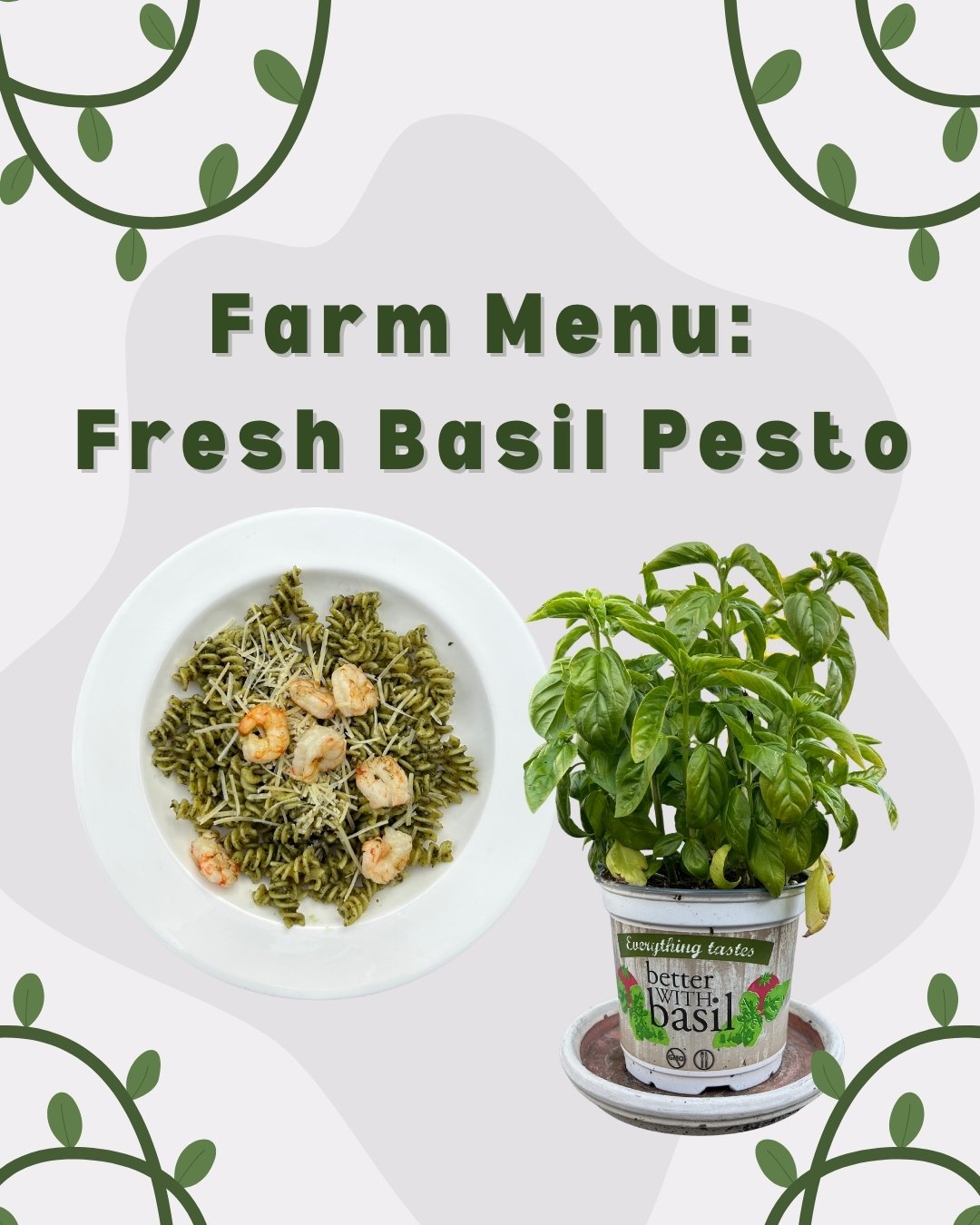Nothing's better than pesto made from fresh basil! 🌱 Grab a big bag of basil from the Food Hub, check out this easy recipe to make your own pesto, and then preserve it for later by freezing or canning.
.
This has been a great summer for growing thin