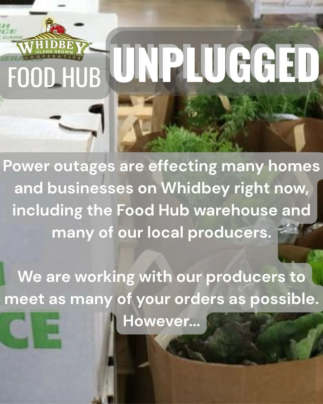 Food Hub Unplugged! For our final order period of 2025, we&rsquo;re doing it without power. 
.
We know many homes and businesses on the island continue to be without power, and the weather is still stormy. 
.
Our warehouse and many of our producers a