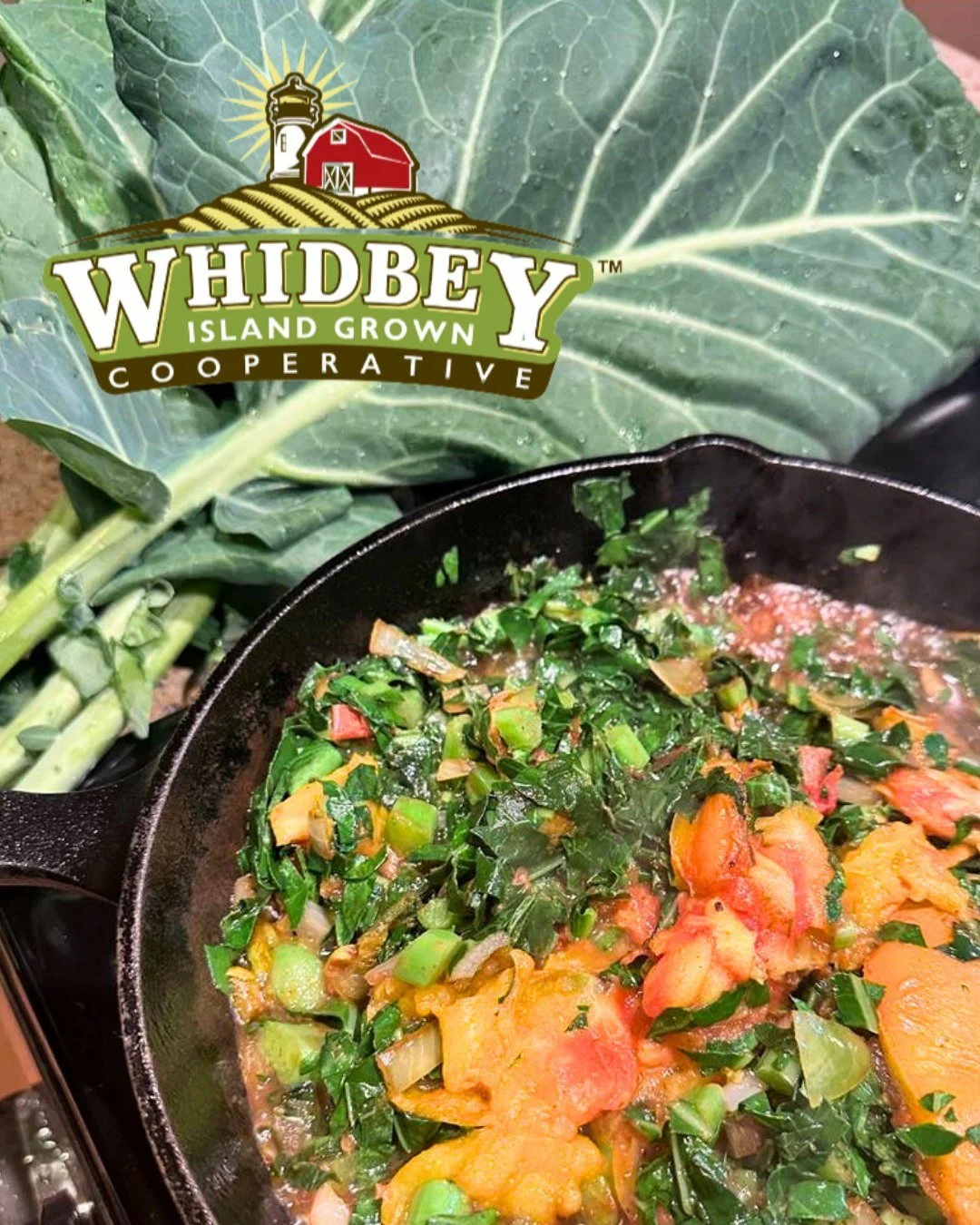 Ahh, it&rsquo;s good to be back! 🌱

This is our first week back on the Food Hub, and we&rsquo;re so happy to be restocking kitchens with fresh, local goodness. Just a friendly reminder to get your order in before the order period closes at 9 PM toni