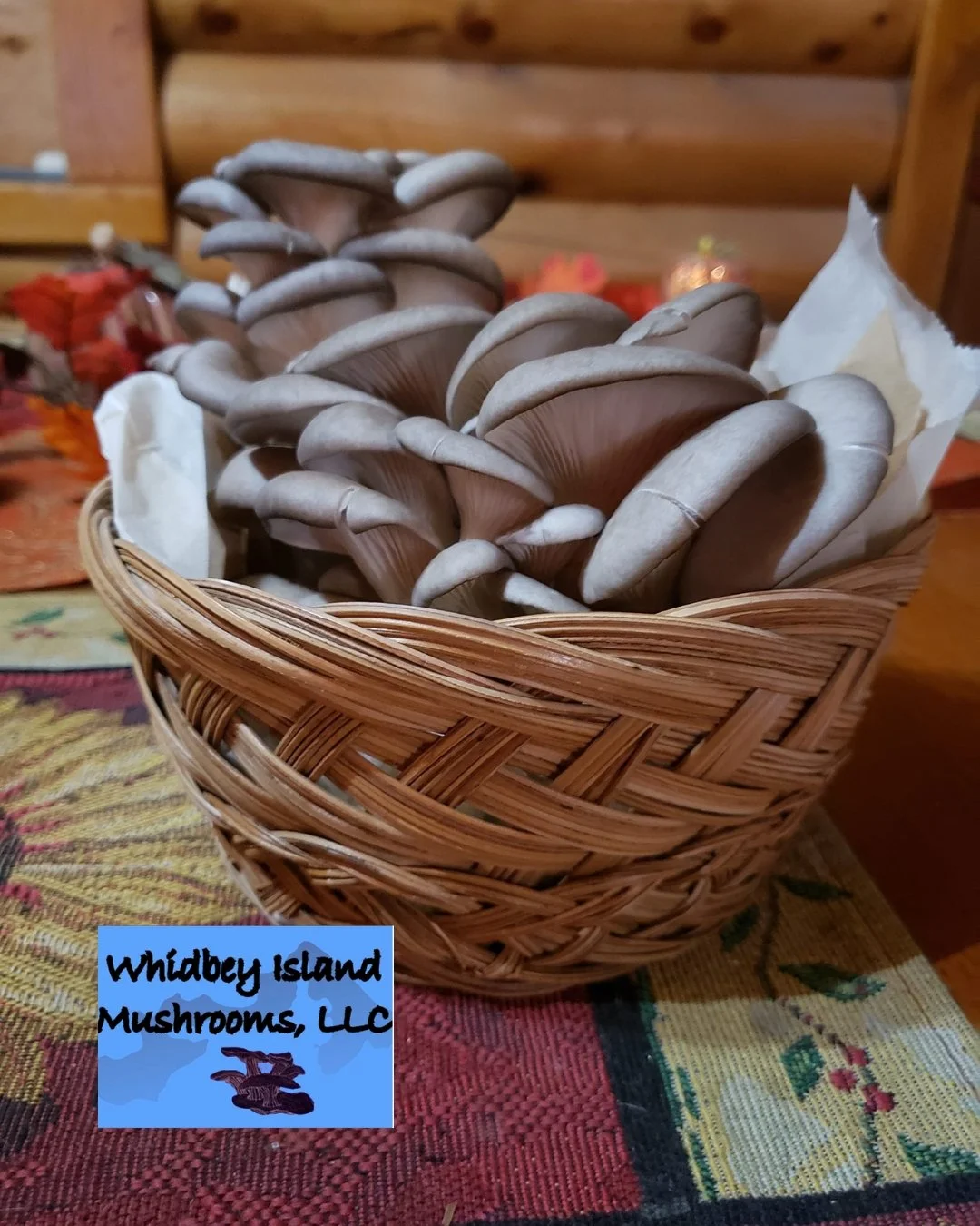 Meet the producers: Whidbey Island Mushrooms! 

Since 2022, Whidbey Island Mushrooms has been growing gourmet mushrooms and microgreens in Oak Harbor. They recognized the lack of local sourcing of gourmet mushrooms and set out to fill that gap. The f