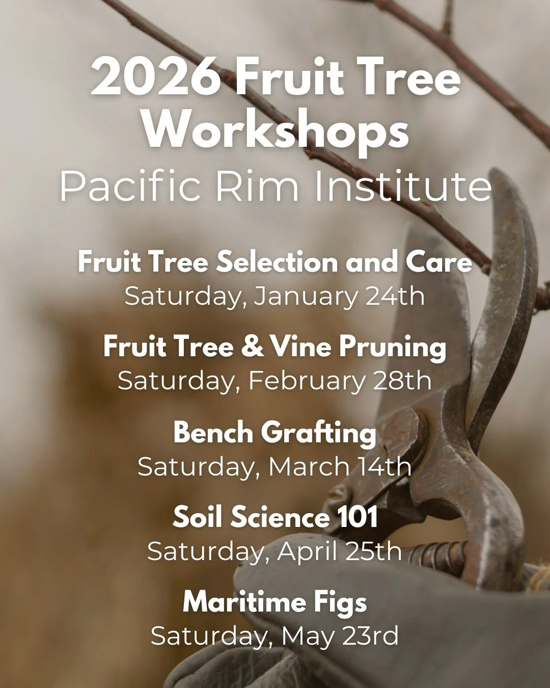 🌳 Grow your skills (and your orchard!) this year 🌳

We&rsquo;re excited to share a wonderful community workshop series from our friends at Pacific Rim Institute, focused on science-based, sustainable fruit tree care&mdash;perfect for gardeners, gro