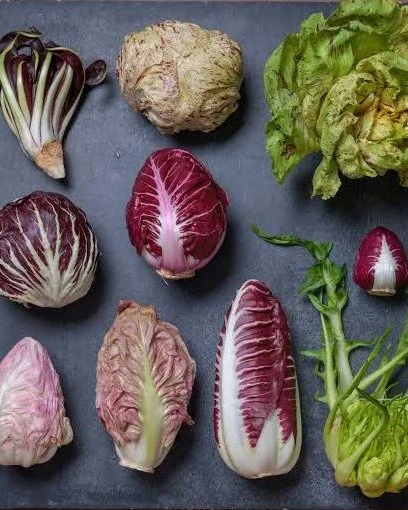 💜 Winter radicchio is here!

Radicchio is a winter veggie that truly loves our PNW weather&mdash;hardy through freezes and even snow, and here to give us that fresh, leafy crunch when other greens are scarce. Part of the chicory family (along with a
