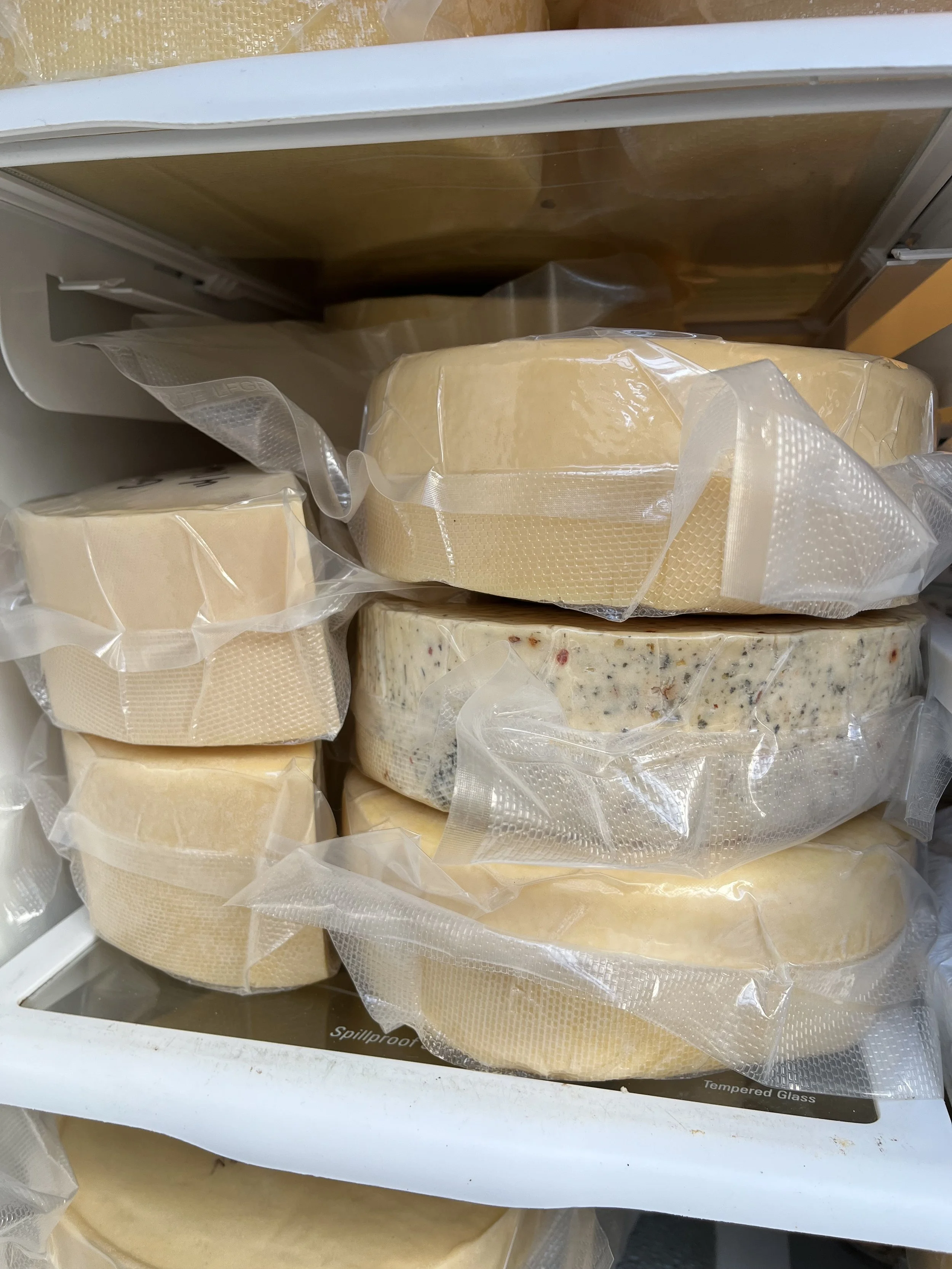 Cheesemaking on the Homestead